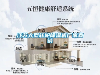 企业新闻江苏大型转轮除湿机厂家直销