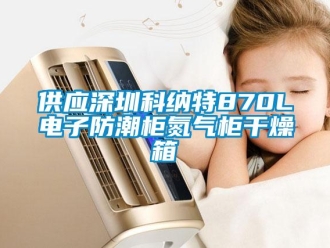 常见问题供应深圳科纳特870L电子防潮柜氮气柜干燥箱