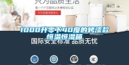 1000升零下40度的烤漆款恒温恒湿箱