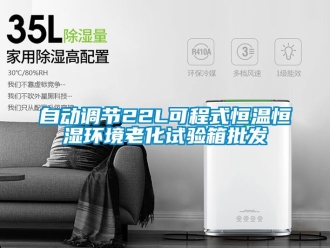知识百科自动调节22L可程式恒温恒湿环境老化试验箱批发