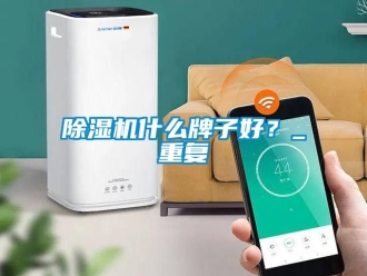 行业新闻除湿机什么牌子好？_重复