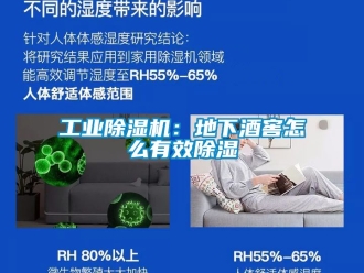 常见问题工业除湿机：地下酒窖怎么有效除湿