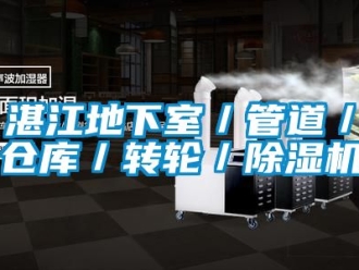常见问题湛江地下室／管道／仓库／转轮／除湿机