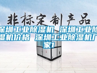 企业新闻深圳工业除湿机 深圳工业除湿机价格 深圳工业除湿机厂家1