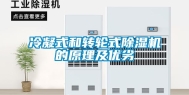 冷凝式和转轮式除湿机的原理及优劣