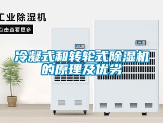 常见问题冷凝式和转轮式除湿机的原理及优劣