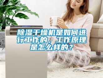 企业新闻除湿干燥机是如何进行工作的，工作原理是怎么样的？