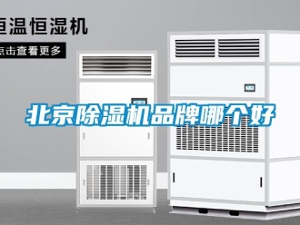 企业新闻北京除湿机品牌哪个好
