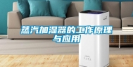 蒸汽加湿器的工作原理与应用