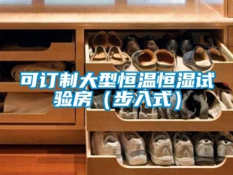 知识百科可订制大型恒温恒湿试验房（步入式）