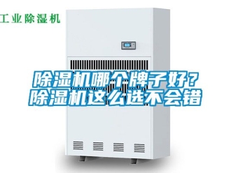 行业新闻除湿机哪个牌子好？除湿机这么选不会错