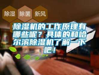 企业新闻除湿机的工作原理有哪些呢？具体的和哈尔滨除湿机了解一下吧！