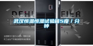 武汉恒温恒湿试验箱5度／分钟