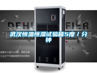 知识百科武汉恒温恒湿试验箱5度／分钟