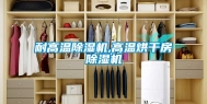 耐高温除湿机,高温烘干房除湿机
