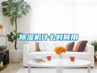 企业新闻除湿机什么时候用