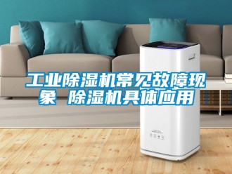 常见问题工业除湿机常见故障现象 除湿机具体应用