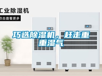 行业新闻巧选除湿机，赶走重重湿气