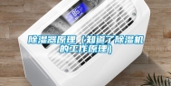 除湿器原理（知道了除湿机的工作原理）