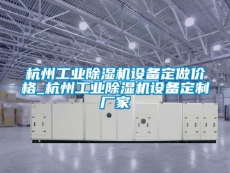 企业新闻杭州工业除湿机设备定做价格_杭州工业除湿机设备定制厂家