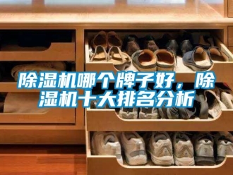 行业新闻除湿机哪个牌子好，除湿机十大排名分析