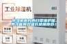 除湿机做好的日常维护保养才能有效延长使用寿命！