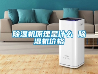 企业新闻除湿机原理是什么 除湿机价格