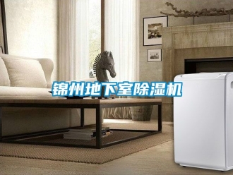 行业新闻锦州地下室除湿机