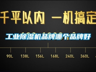 企业新闻工业除湿机品牌哪个品牌好