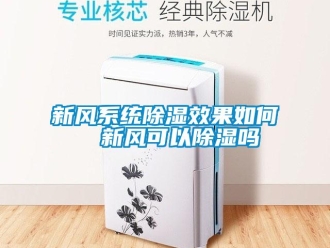 行业新闻新风系统除湿效果如何  新风可以除湿吗