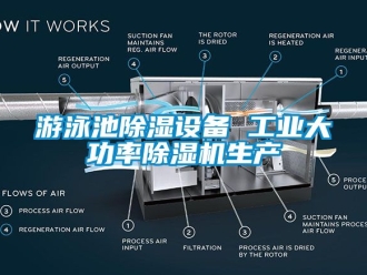 常见问题游泳池除湿设备 工业大功率除湿机生产