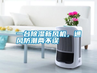 知识百科一台除湿新风机，通风防潮两不误