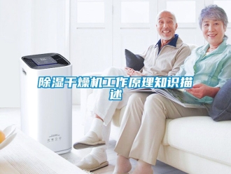 企业新闻除湿干燥机工作原理知识描述