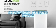 墙面为什么防潮 墙面防潮的处理方法