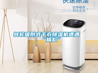 知识百科转轮吸附式干衣除湿机遭遇“尴尬”