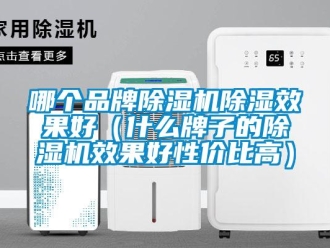 企业新闻哪个品牌除湿机除湿效果好（什么牌子的除湿机效果好性价比高）