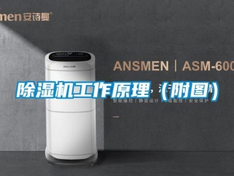 常见问题除湿机工作原理（附图）