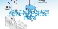至力电子(图)-实验室恒温恒湿机厂家-泸州恒温恒湿机厂家