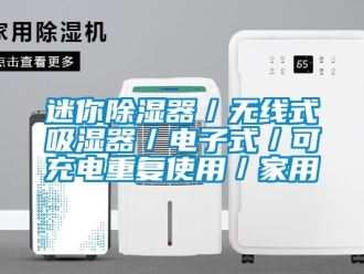 行业新闻迷你除湿器／无线式吸湿器／电子式／可充电重复使用／家用