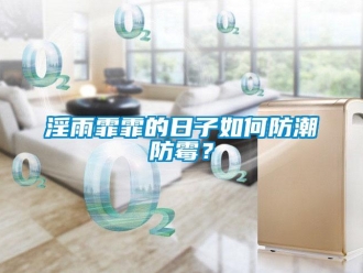 常见问题淫雨霏霏的日子如何防潮防霉？