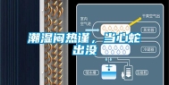 潮湿闷热谨，当心蛇出没