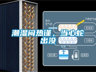 企业新闻潮湿闷热谨，当心蛇出没