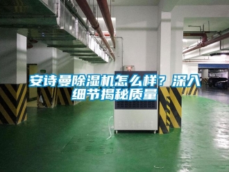 企业新闻安诗曼除湿机怎么样？深入细节揭秘质量