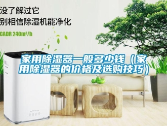 行业新闻家用除湿器一般多少钱（家用除湿器的价格及选购技巧）