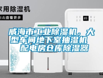 常见问题威海市工业除湿机，大型车间地下室抽湿机  配电房仓库除湿器