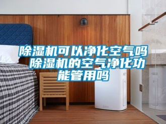 行业新闻除湿机可以净化空气吗 除湿机的空气净化功能管用吗