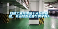 知名工业除湿机十大品牌排名，专业除湿机哪个牌子好？