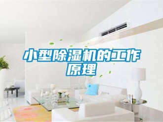 行业新闻小型除湿机的工作原理