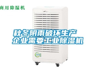 行业新闻秋冬阴雨破坏生产 企业需要工业除湿机