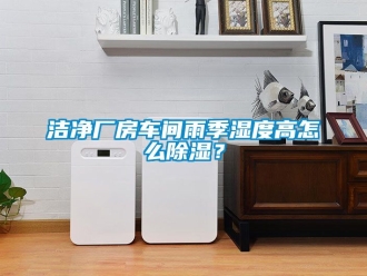 企业新闻洁净厂房车间雨季湿度高怎么除湿？